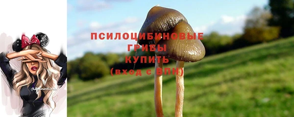 ALPHA-PVP Аркадак