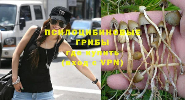 каннабис Арсеньев