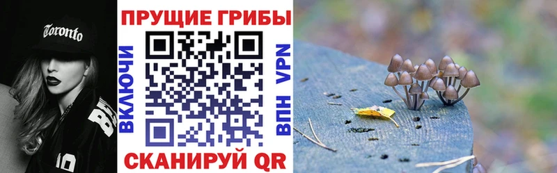 Псилоцибиновые грибы MAGIC MUSHROOMS  мега как войти  Калязин 